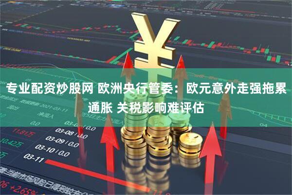 专业配资炒股网 欧洲央行管委：欧元意外走强拖累通胀 关税影响难评估